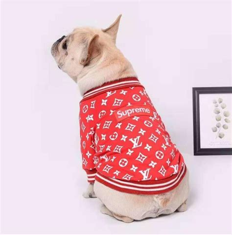 supreme dog clothes|luxury dog clothing.